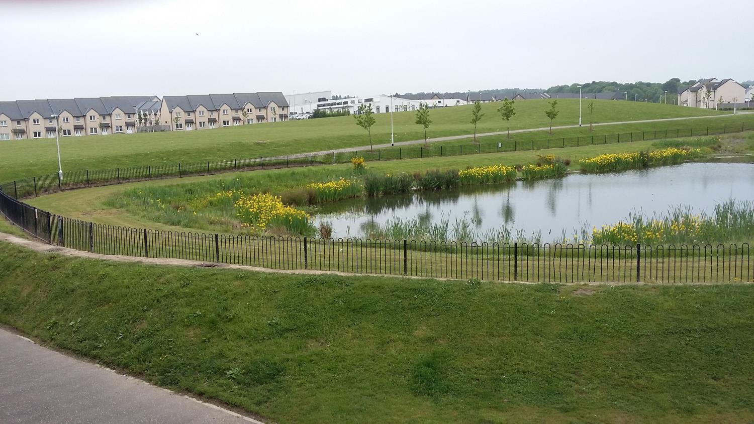 View 1