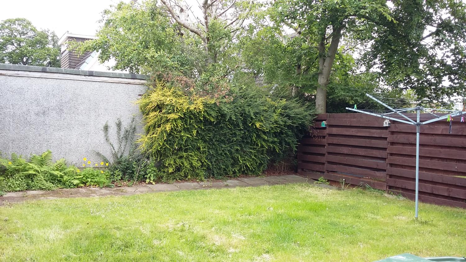 Garden 2