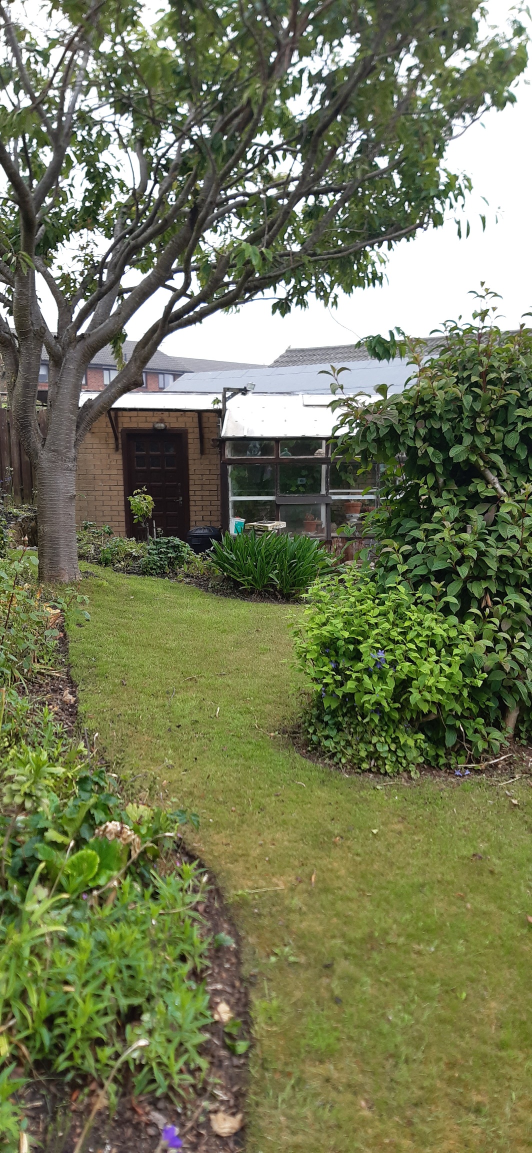 Garden 4