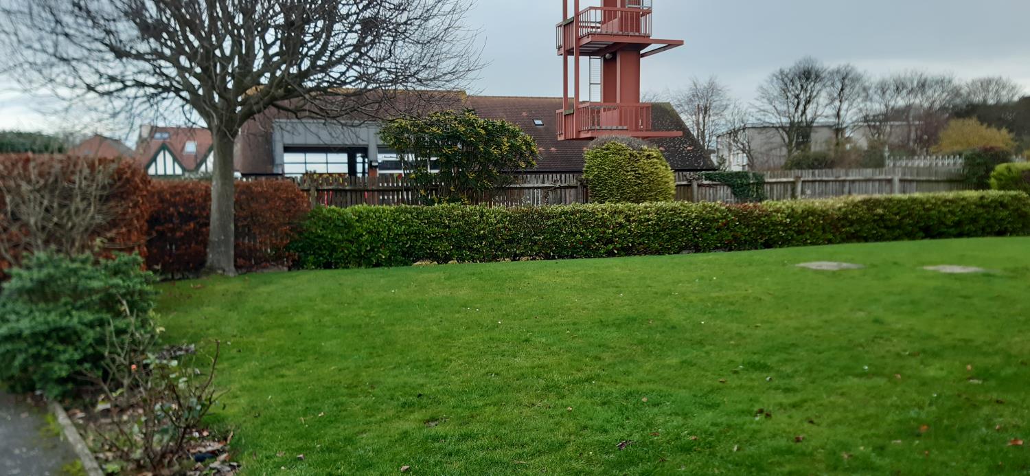 Grounds