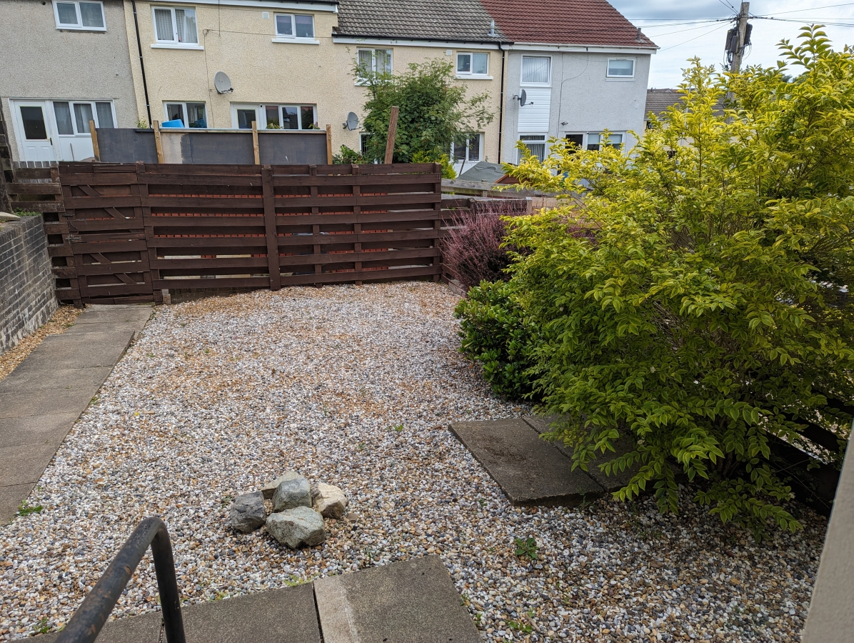 Back garden 1