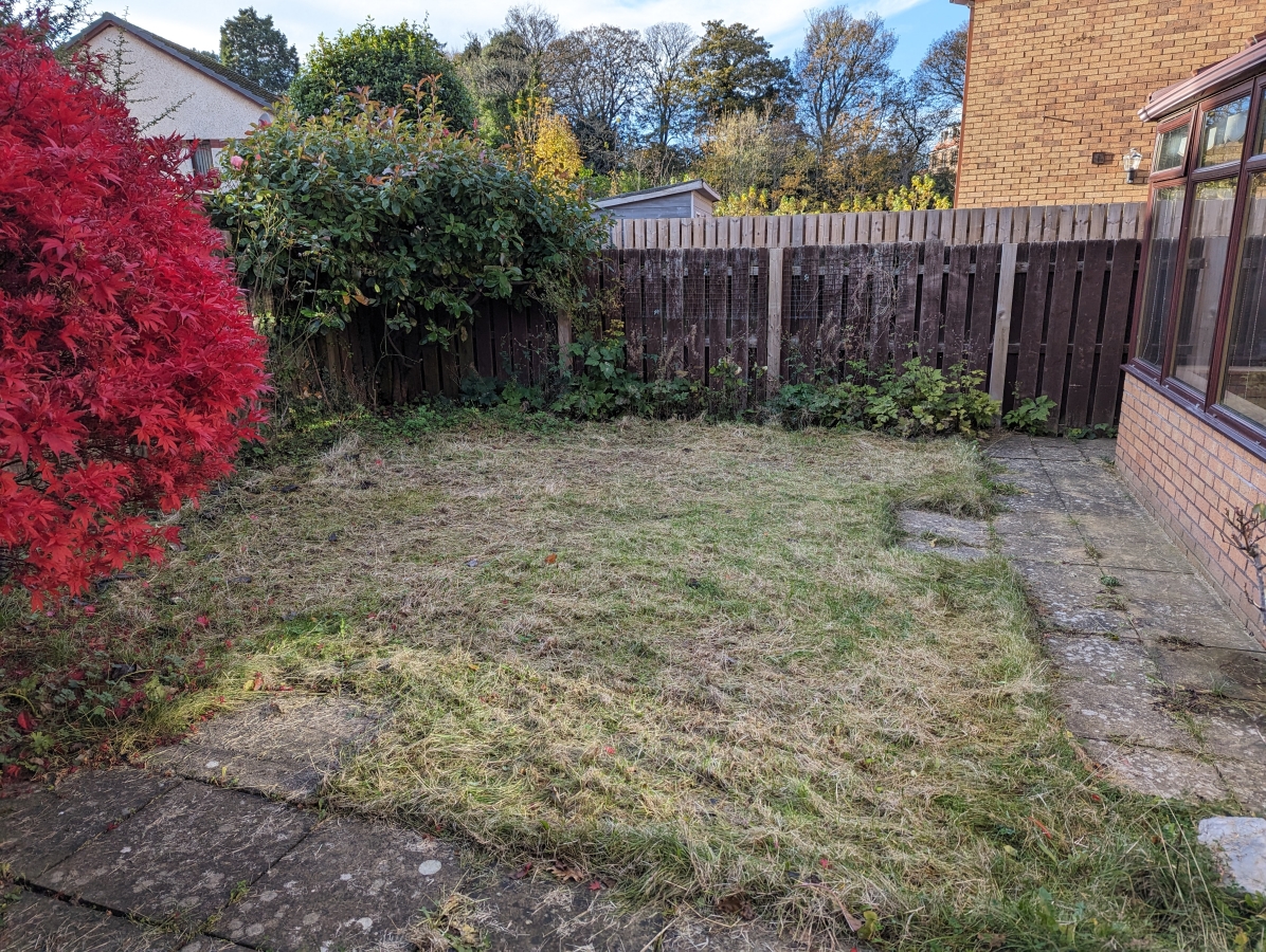 Garden back