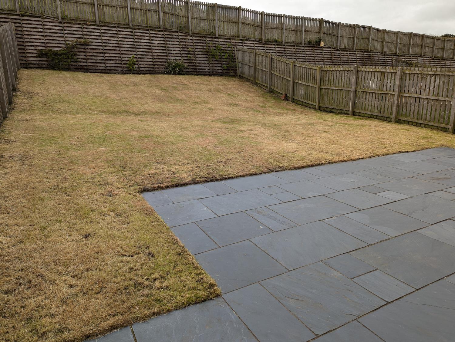 Back Garden