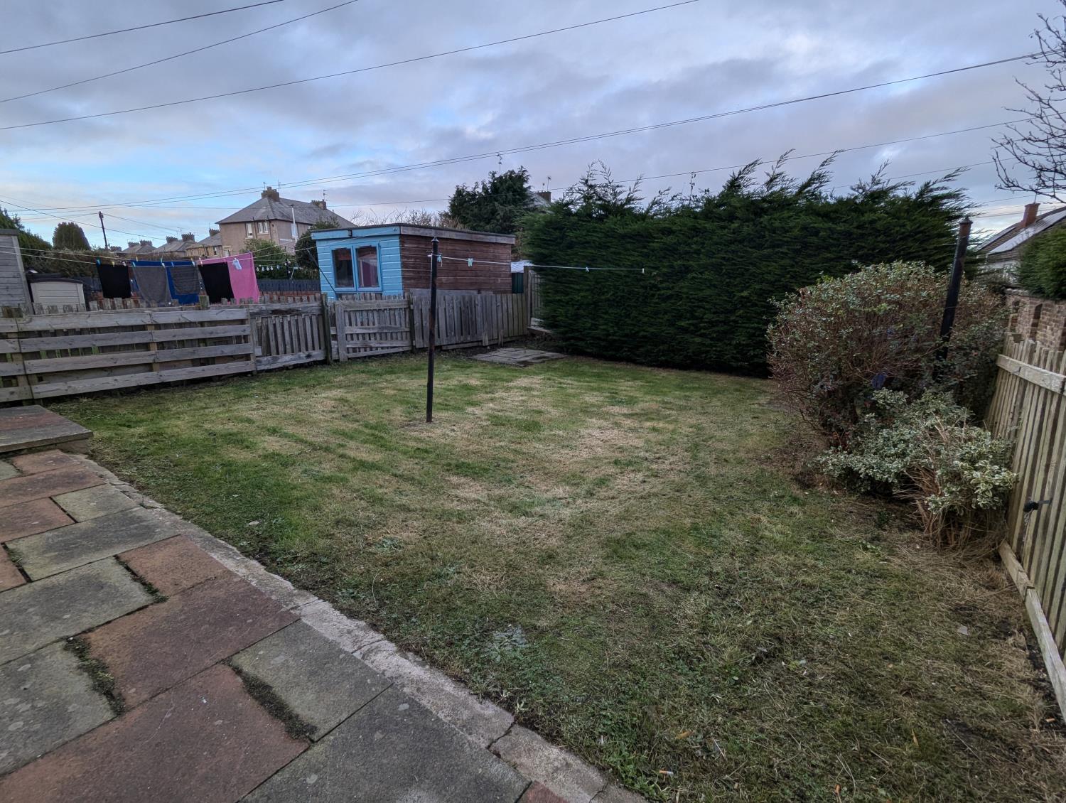 Back Garden
