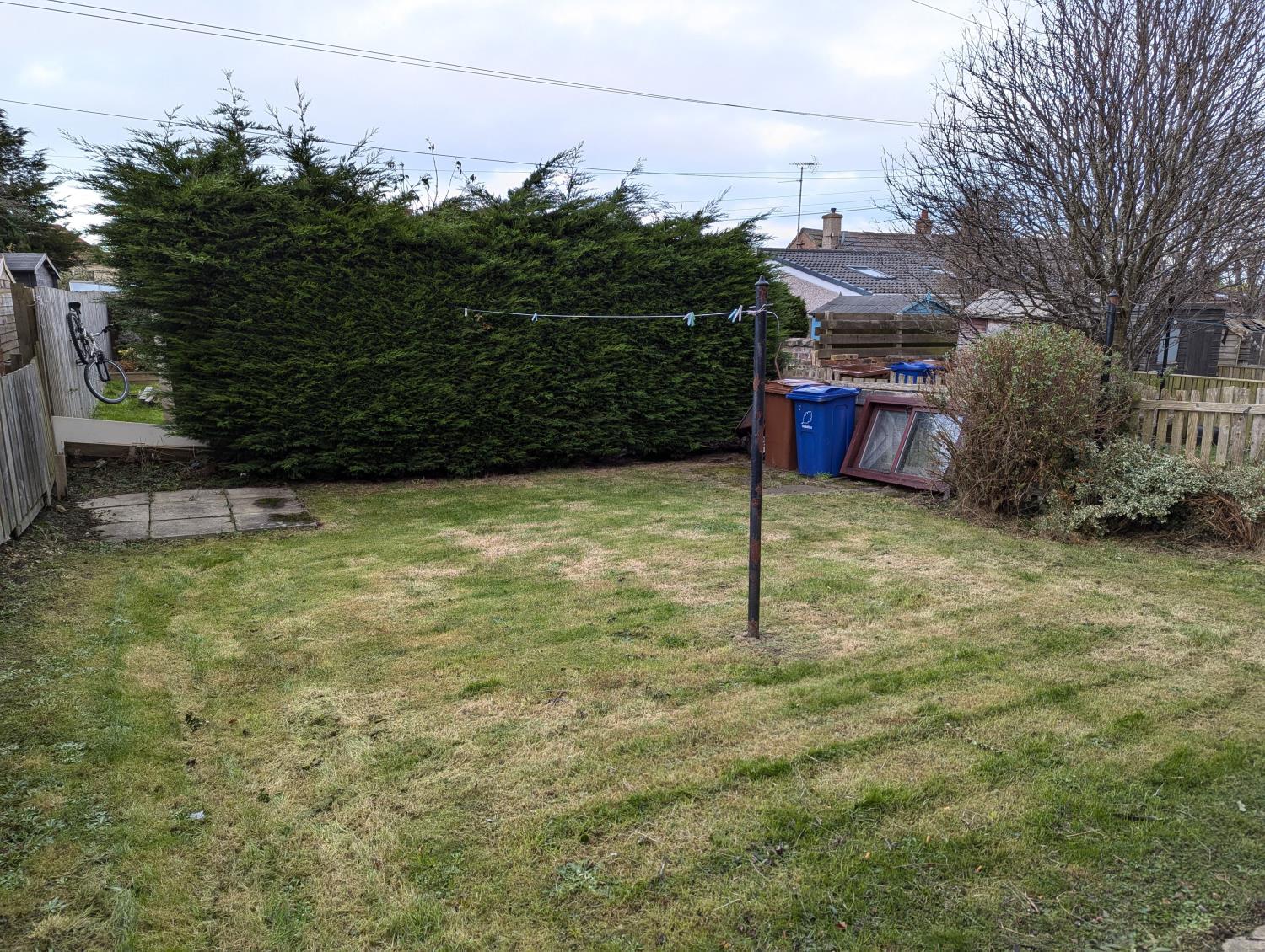 Back Garden