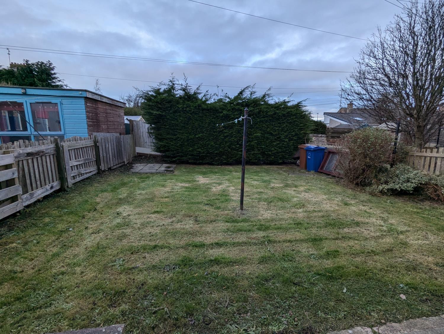 Back garden