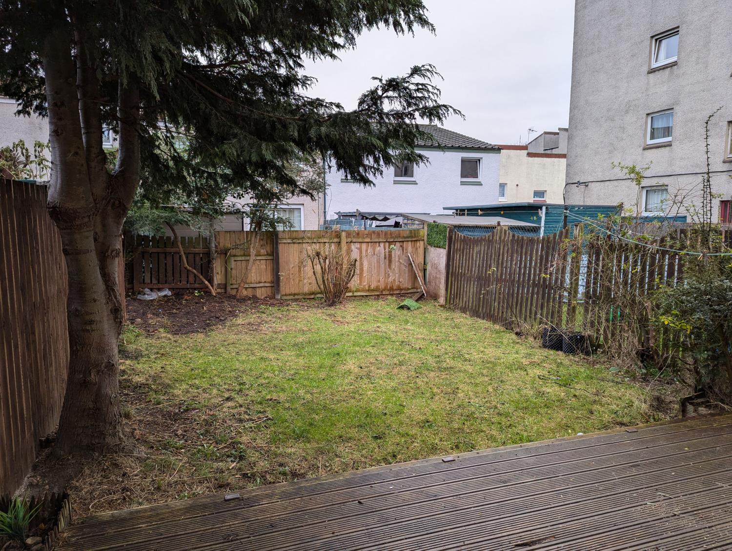 Back garden