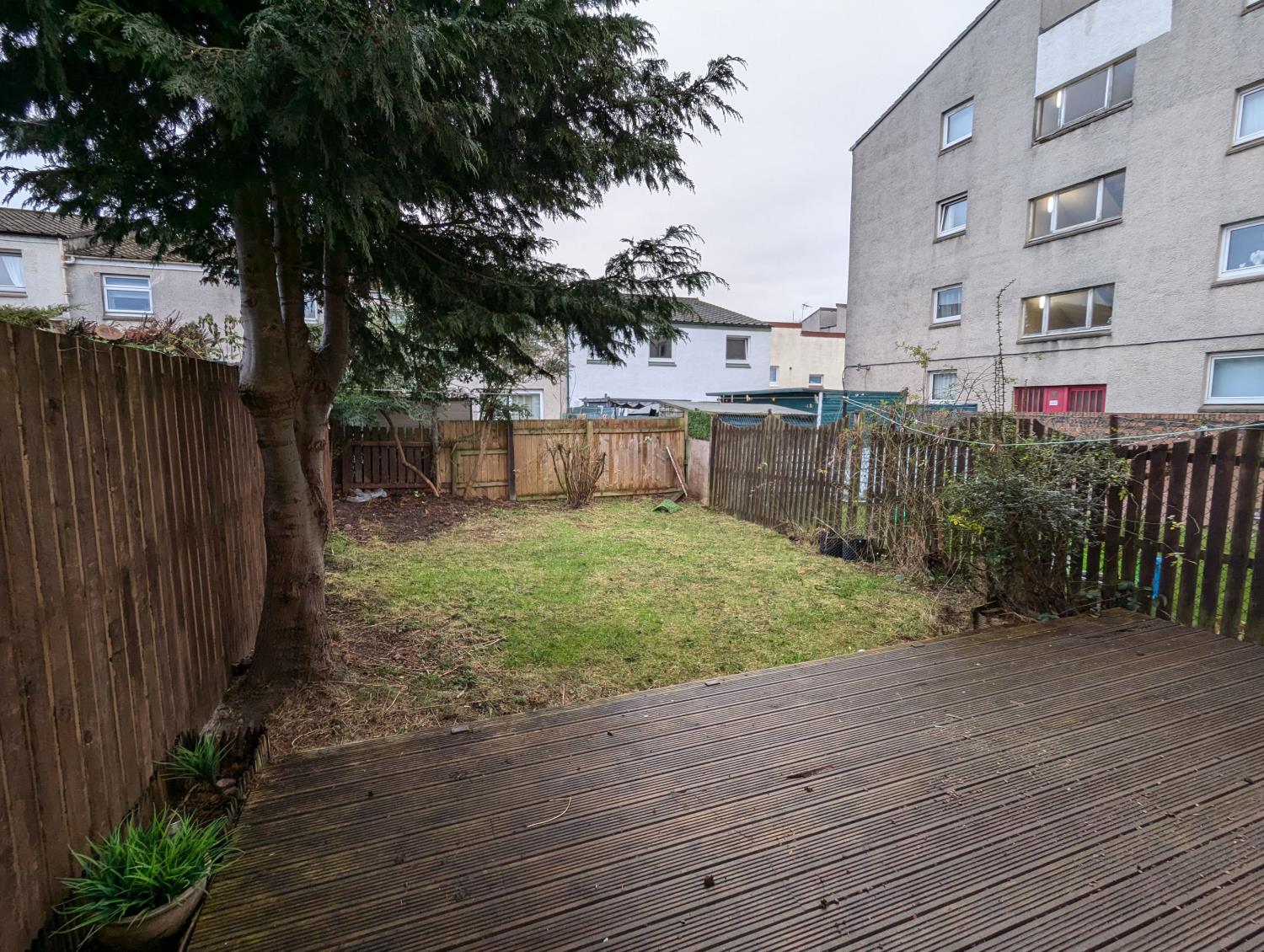 Back Garden