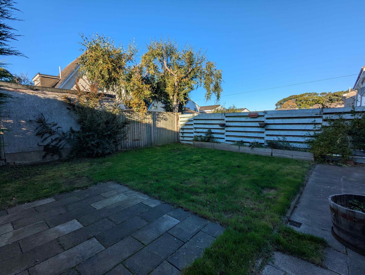 Back Garden