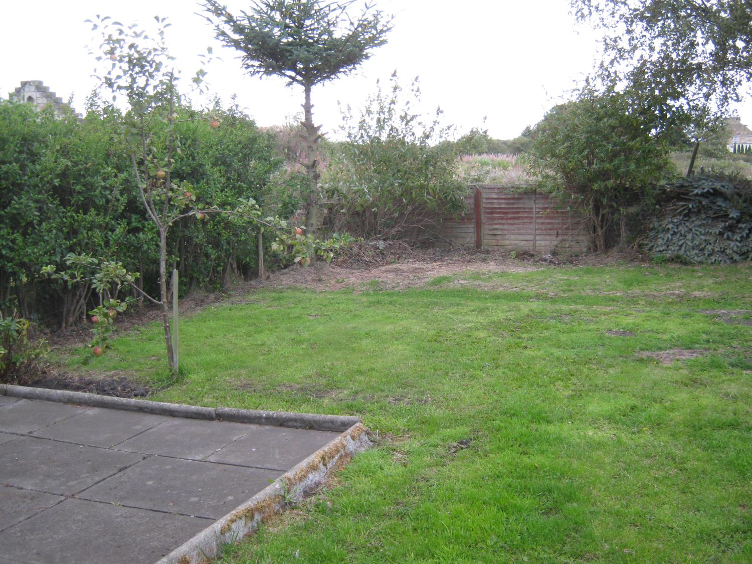 Back Garden